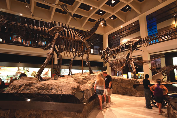 Houston Museum of Natural Science_Paleontology Hall_1